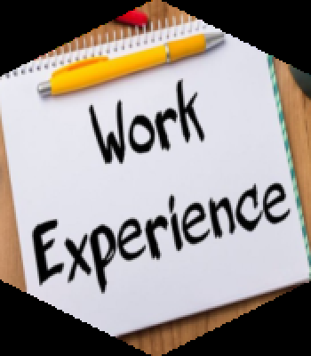 15+ YEARS OF EXPERIENCE